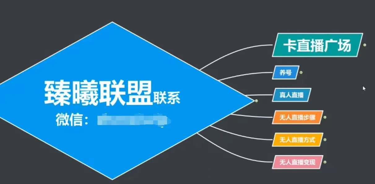 臻曦联盟，最新无人直播万人在线技术理原及详细操作步骤解析（视频教程）-21资源库