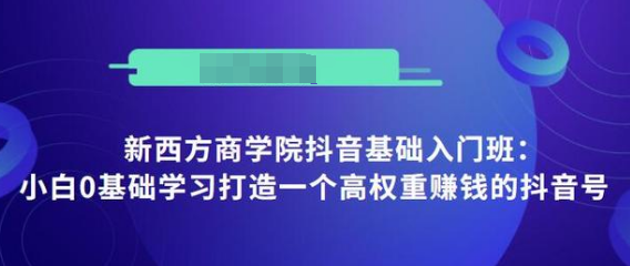 抖音基础入门班：小白0基础学习打造一个高权重赚钱的抖音号-21资源库