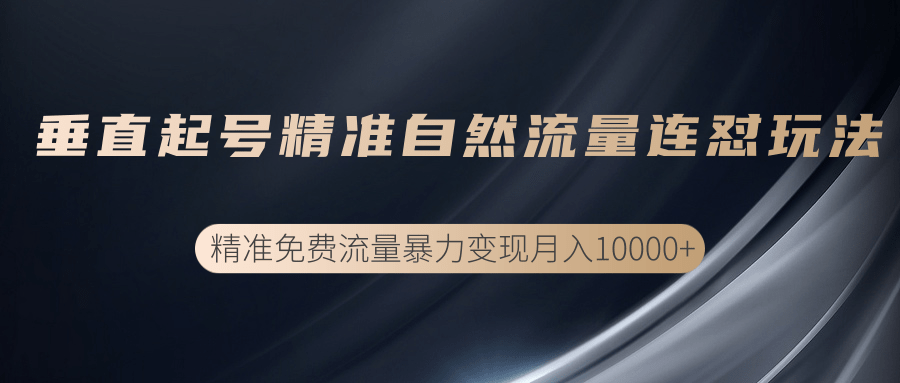 垂直起号精准自然流量连爆玩法，精准引流暴力变现月入10000+-21资源库