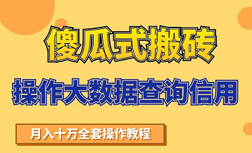 搬砖操作大数据查询信用项目赚钱教程，祝你快速月入6万-21资源库