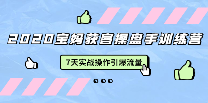 2020宝妈获客操盘手训练营：7天实战操作引爆 母婴、都市、购物宝妈流量-21资源库
