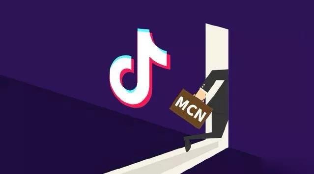 抖音MCN孵化课程，帮助商家拓客，帮助达人更好变现的课程，从0基础到超级IP-21资源库