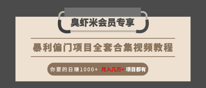 暴利偏门项目全套合集视频教程：你要的日赚1000+月入几万+项目都有-21资源库