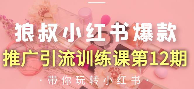 狼叔小红书爆款推广引流训练课第12期，手把手带你玩转小红书-21资源库