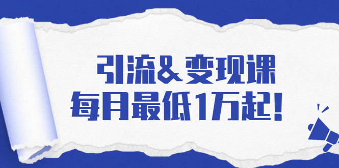 引流&变现课：分享一整套流量方法以及各个渠道收入，每月最低1万起！-21资源库
