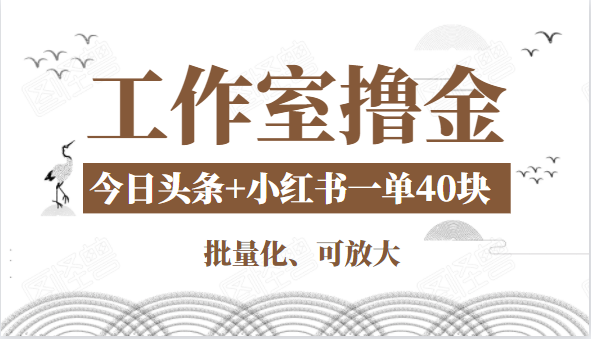 工作室撸金二件套：撸今日头条原创收益+小红书一单利润40块项目-21资源库