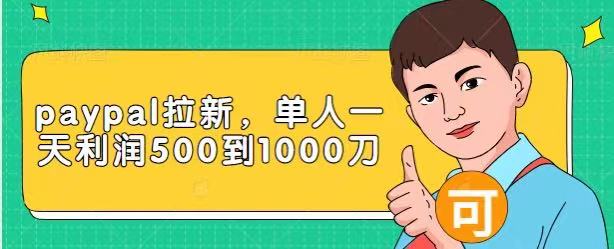 Paypal拉新赚美刀项目，单人一天利润500-1000刀【视频课程】-21资源库