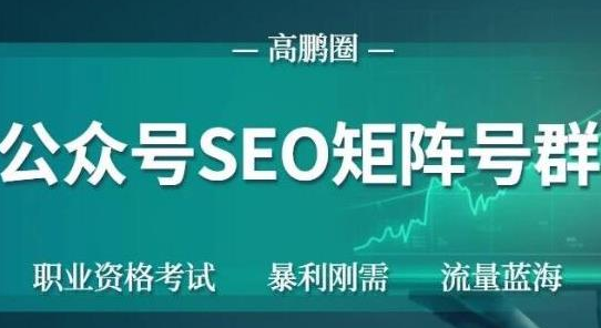 高鹏圈公众号SEO矩阵号群，实操20天纯收益25000+，普通人都能做-21资源库