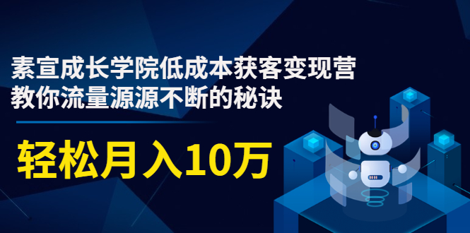 素宣成长学院低成本获客变现营，教你流量源源不断的秘诀，轻松月入10万-21资源库