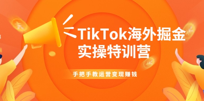 TikTok海外掘金实操特训营：手把手教运营变现赚钱-21资源库
