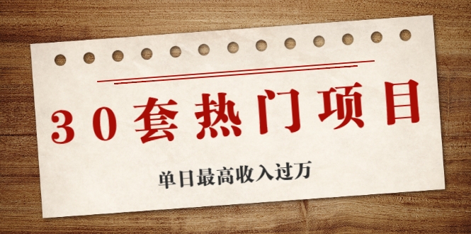 30套热门项目：单日最高收入过万 (网赚项目、朋友圈、涨粉套路、抖音、快手)等-21资源库