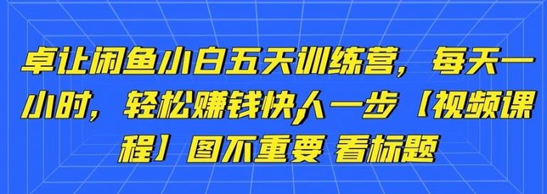 卓让闲鱼小白五天训练营，每天一小时，轻松赚钱快人一步-21资源库