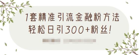 1套精准引流金融粉方法，轻松日引300+粉丝-21资源库