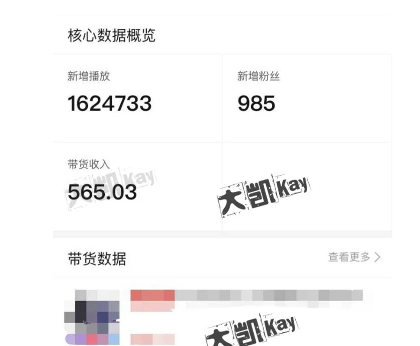 大凯进阶圈新玩法之拼多多视频玩法，利润大概一个号一天能有500~1500的左右!-21资源库