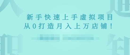 2022年虚拟项目实战指南，新手从0打造月入上万店铺-21资源库