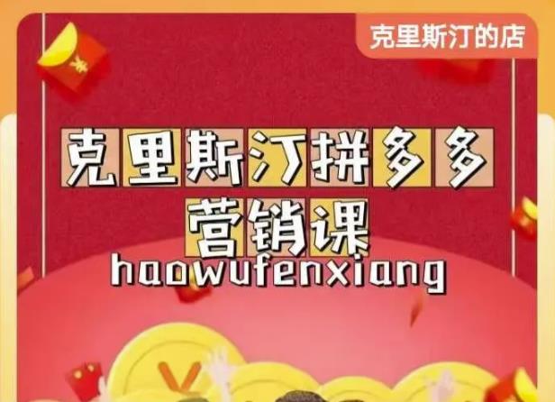 克里斯汀拼多多运营课，适合小白初涉平台，低成本入门-21资源库