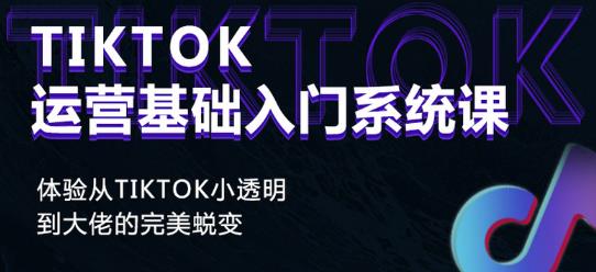 Tiktok实操进阶课程，体验从tiktok小透明到大佬的完美蜕变-21资源库