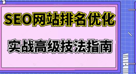 樊天华·SEO网站排名优化实战高级技法指南，让客户找到你-21资源库