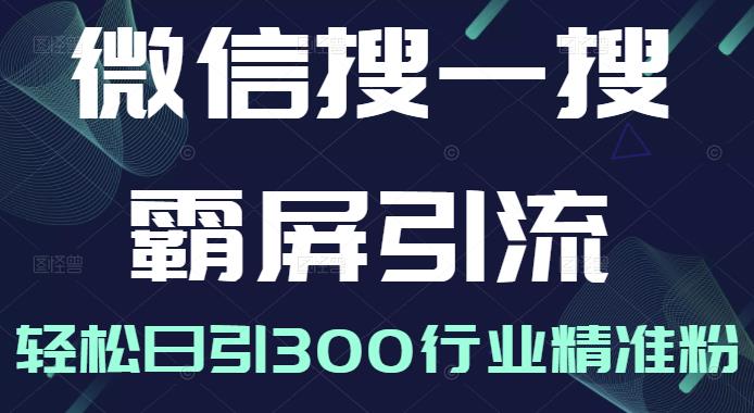 微信搜一搜霸屏引流课，打造被动精准引流系统，轻松日引300行业精准粉-21资源库