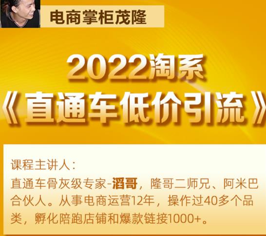 茂隆2022直通车低价引流玩法，教大家如何低投入高回报的直通车玩法-21资源库