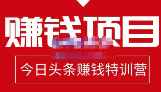 懒人领域·今日头条项目玩法，头条中视频项目，单号收益在50—500可批量-21资源库