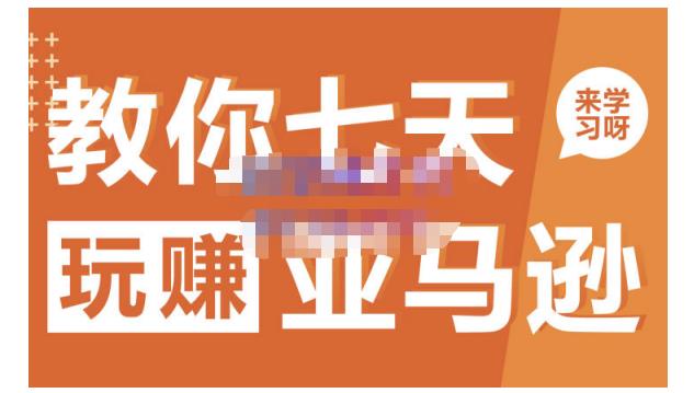 晟尧跨境·教你七天玩赚亚马逊，教你轻松玩赚亚马逊，适合小白学习-21资源库