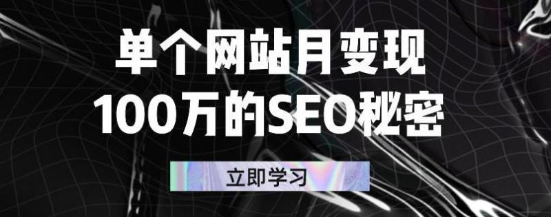 单个网站月变现100万的SEO秘密，百分百做出赚钱站点-21资源库