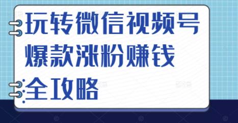 玩转微信视频号爆款涨粉赚钱全攻略，让你快速抓住流量风口，收获红利财富-21资源库