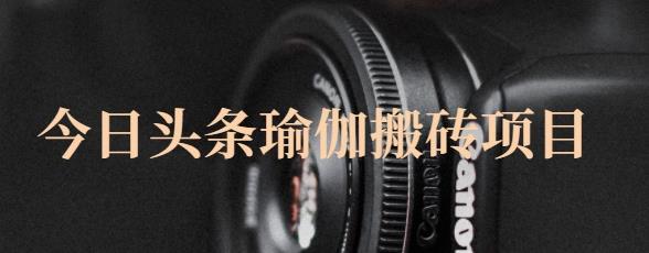 猎人社区·今日头条瑜伽搬砖项目，单号一天几十收入，可以批量操作！-21资源库