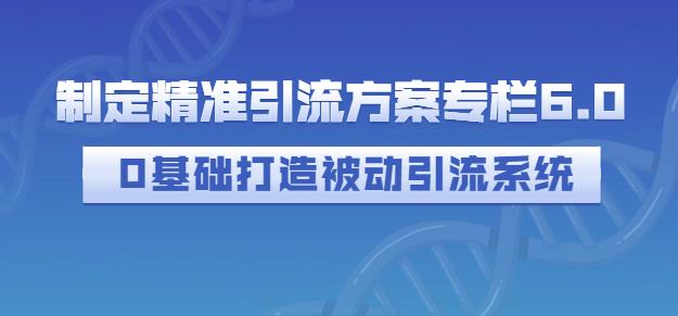 制定精准引流方案专栏6.0，0基础打造被动引流系统-21资源库