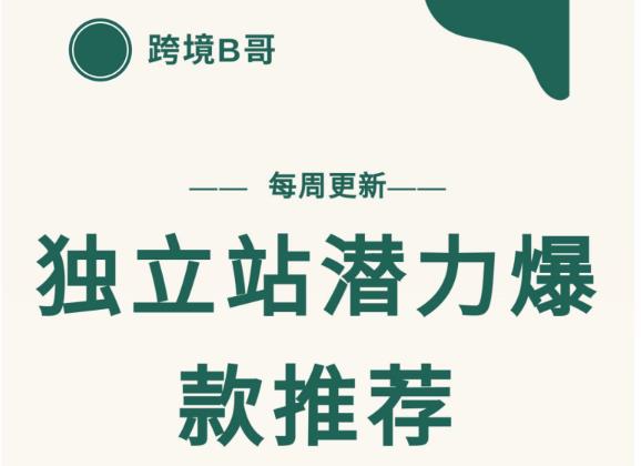 【跨境B哥】独立站潜力爆款选品推荐，测款出单率高达百分之80-21资源库