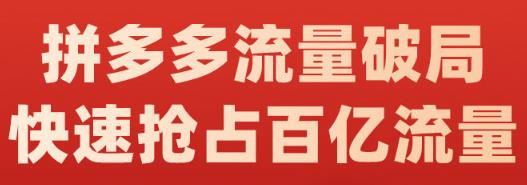 阿杰·拼多多流量破局:如何打黑标，爆款的思路，拼多多流量框架，快速抢占百亿流量-21资源库