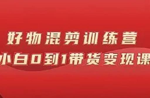 万三好物混剪训练营：小白0到1带货变现课-21资源库