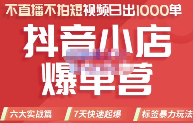 推易电商·2022年抖音小店爆单营，不直播、不拍短视频、日出1000单，暴力玩法-21资源库
