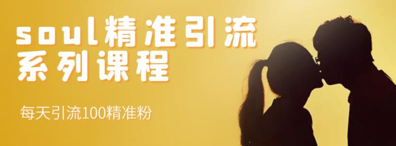 soul精准引流系列课程，每天引流100精准粉-21资源库