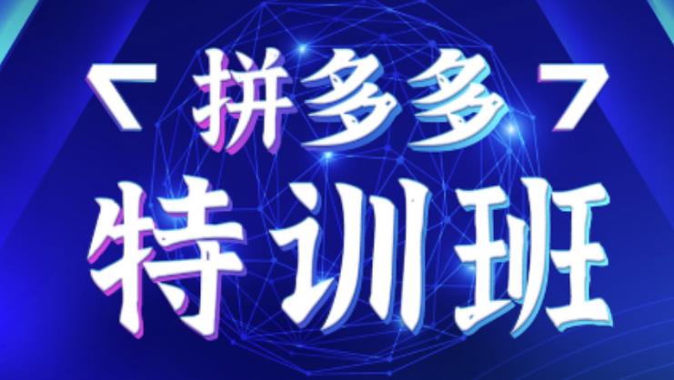 星雪教育·拼多多基础班+进阶班+突破班，用系统的学习模式快速改变现状价值3580元-21资源库