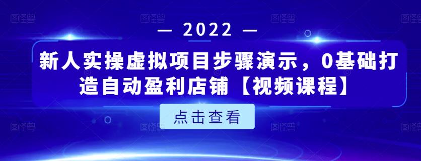 新人实操虚拟项目步骤演示，0基础打造自动盈利店铺【视频课程】-21资源库
