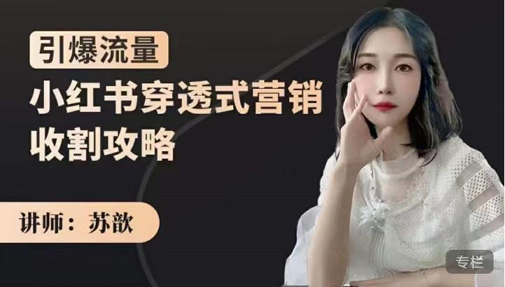 苏歆：小红书穿透式营销收割攻略，引爆流量，助你玩转小红书-21资源库