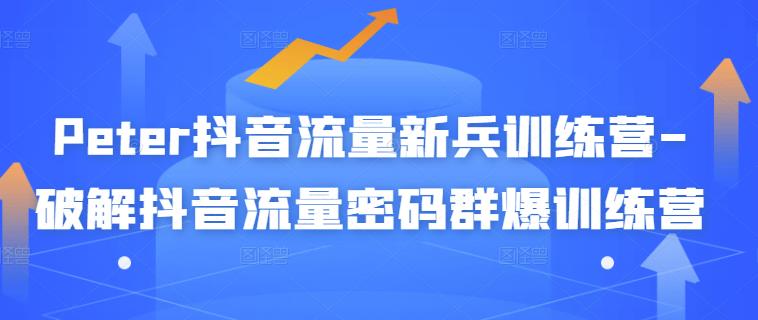 Peter抖音流量新兵训练营-破解抖音流量密码群爆训练营（新兵）-21资源库