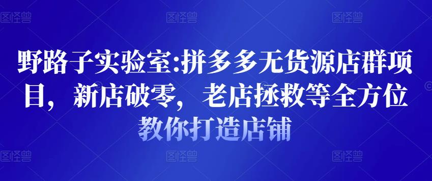野路子实验室:拼多多无货源店群项目，新店破零，老店拯救等全方位教你打造店铺-21资源库