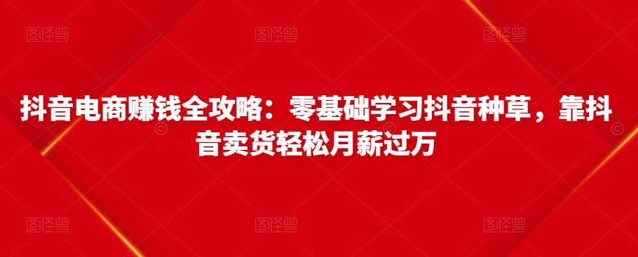 抖音电商赚钱全攻略：零基础学习抖音种草，靠抖音卖货轻松月薪过万-21资源库