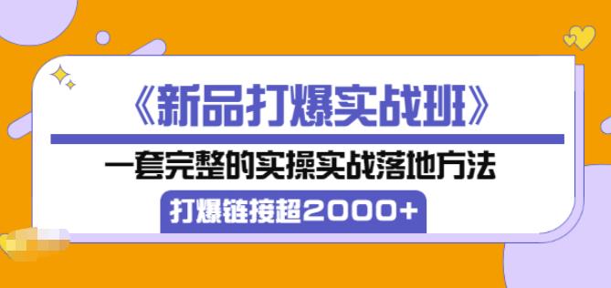 凌童《新品打爆实战班》,一套完整的实操实战落地方法，打爆链接超2000+（28节课)-21资源库