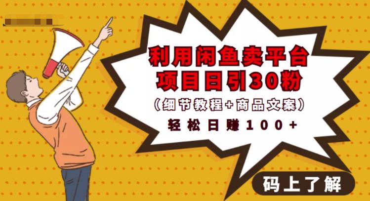 利用闲鱼卖平台项目课程资源日引流30+精准粉丝，轻松日赚100+，积累人脉可实现二次变-21资源库