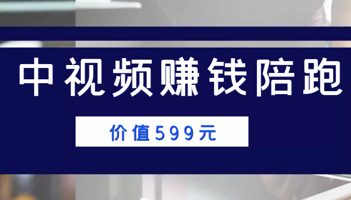 中视频赚钱陪跑，卖中视频账户赚钱收益陪跑项目（价值599元）-21资源库