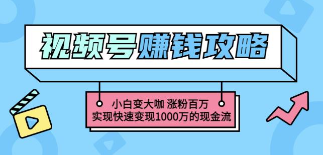 玩转微信视频号赚钱：小白变大咖涨粉百万实现快速变现1000万的现金流-21资源库
