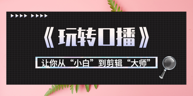 月营业额700万+大佬教您《玩转口播》让你从“小白”到剪辑“大师”-21资源库