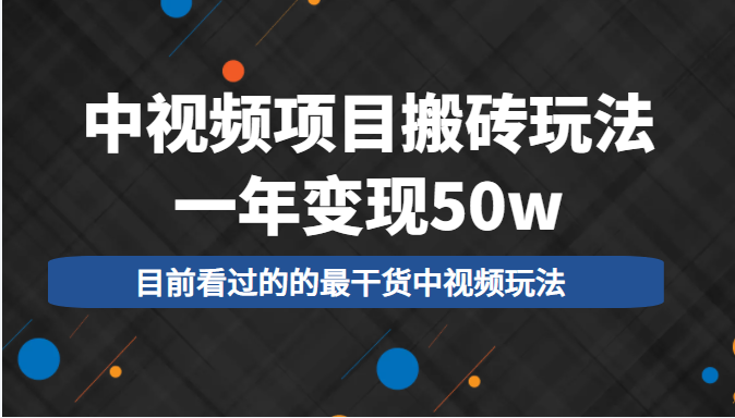 中视频项目搬砖玩法，一年变现50w，目前看过的的最干货中视频玩法-21资源库