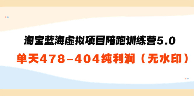 淘宝蓝海虚拟项目陪跑训练营5.0：单天478纯利润-21资源库