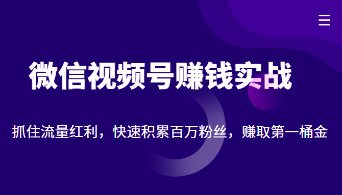 微信视频号赚钱实战：抓住流量红利，快速积累百万粉丝，赚取你的第一桶金-21资源库