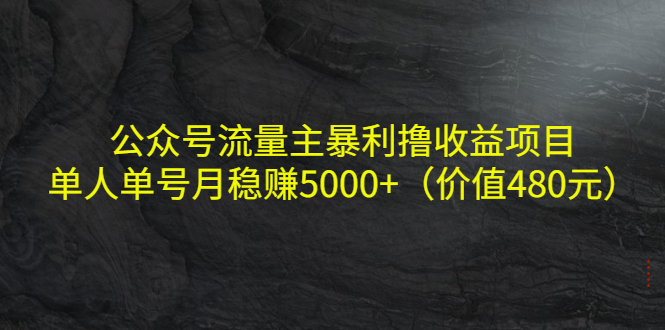公众号流量主暴利撸收益项目，单人单号月稳赚5000+（价值480元）-21资源库